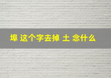 埠 这个字去掉 土 念什么